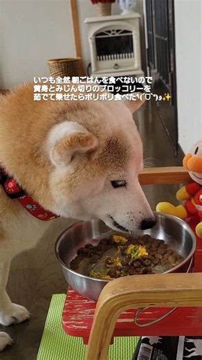 いつも朝ごはんを全く食べないので 卵の黄身とみじん切りのブロッコリーを茹でて乗せたら食べた食べた٩(ˊᗜˋ*)و✨️