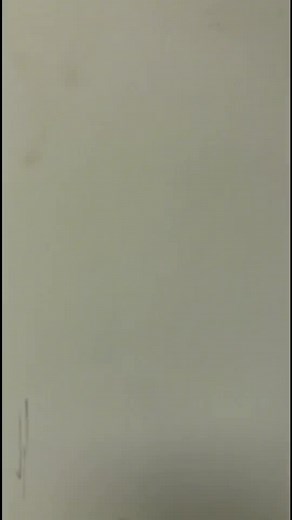 Modern Kitchen Inspection with Stylish Design