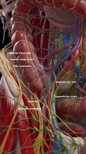 85K views · 1.5K reactions | Step into the intricate world of...