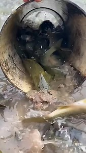 red worm liquid #fishing #fish #Outdoors #flyfishing #nature #catchandrelease #bassfishing #fishinglife #travel #photography #ocean #trout #bass #adventure #angler #florida #beach #fisherman #tightlines #fishingislife #fishingtrip #largemouthbass #sunset #saltlife #saltwaterfishing #hunting #Summer #lake #boat #troutfishing | Fishing and Hunting