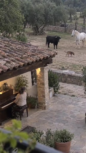 Cuando toca el piano todos vienen rápido - weddingtips