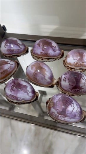 Carved Cowries at the Cellini Gallery Cameos & Corals Pompeii!