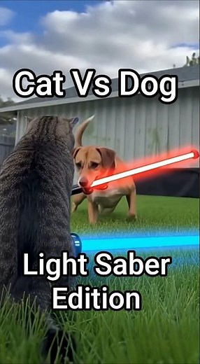 EPIC Lightsaber Battle: Cat vs Dog 🐶⚔️🐱 May the Fur Be With You! | Star Wars Pets