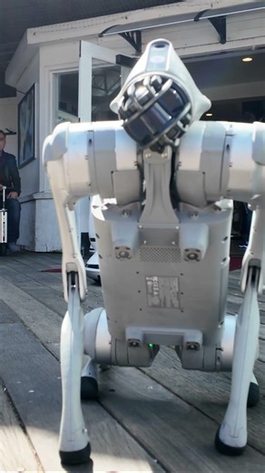 San Fransisco Pier 39 Robot #sanfrancisco #sf