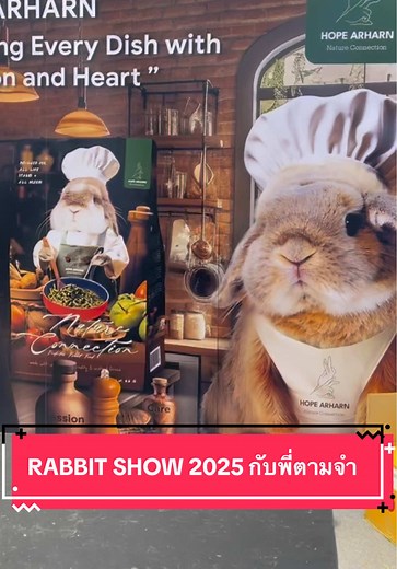 โดนเด็กๆตกที่งาน RABBIT SHOW 2025🏆🎗️#กระต่าย #rabbit #bunny #สัตว์โลกน่ารัก #กระแสมาแรง #bunnychin #rabbitshow #rabbitshow2025