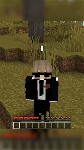 Minecraft But I Have Only 9 Inventory Slots Challenge…