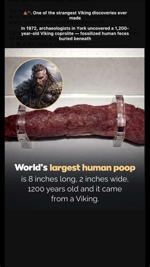 World longest human poop 💩 #archaeology #ancient #shorts