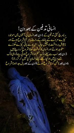 1.2M views · 8.2K reactions | What happens to Body after End #science #islamicpost #urdu #TheEnd #advice | Meri Wadi | Facebook