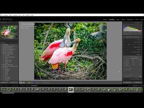 Preparing Image Files for Borderless Printing