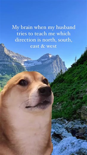 The Traveling Dans (@thetravelingdans) - Struggling with Directions? Join the Travel Meme Fun!