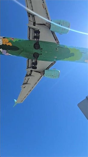 Alaska Airlines Drops Right Over the Street at Burbank ✈️😳