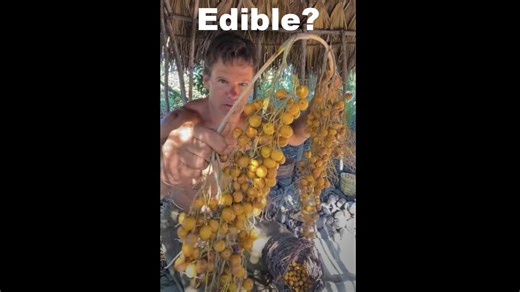 I tried this unique Mexican fruit 🌴