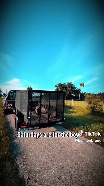 Taking RoY on a Wild Ride to Circle K