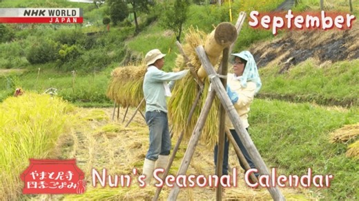 September 23rd marks the Autumn Equinox, when day and night are evenly balanced and the rice is harvested.🎥 ⬇️ https://www3.nhk.or.jp/nhkworld/en/shows/6124001/?cid=wohk-fb-org Nun's Seasonal Calendar September | NHK WORLD-JAPAN