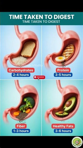 Time taken by different foods to digest #health #nutrition #food #wellness #superfoods #healthy