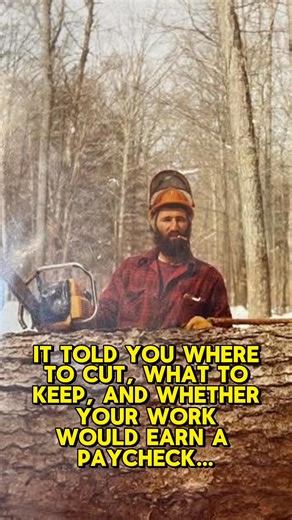 139K views · 1.6K reactions | Midwest Logging History Part 2 #Logging #History | Logger Mack | Facebook