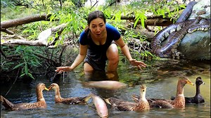 6.1K views · 87 reactions | Top Adventure solo in forest- Catches duck fish snake and cooking for food in forest | Primitive HD | Facebook