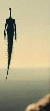 The visitor #monster #alien #god #ai #shorts