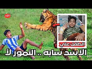 طفل يستفز أسد ثم يقترب من نمر .. والنهاية صادمة | القصة الكاملة لحادثة حديقة الزوراء في بغداد العرق