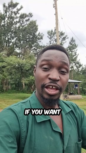 Starting a Farm While Keeping Your Job: Advice from a Doctor