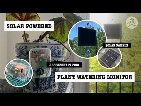 Solar-powered Raspberry Pi Pico plant watering monitor project