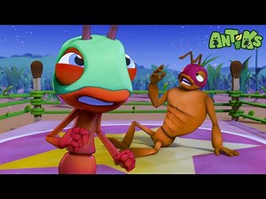 Wrestling Mayhem! | Antiks 🐜 | Funny Cartoons for Kids
