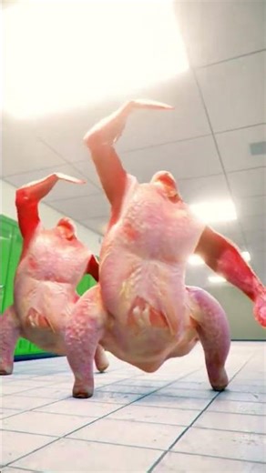 Le dindon chante de l'opéra - Meme #shorts