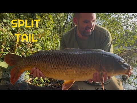 FISHING the ESP method feeder for the first time turned into a EPIC SESSION!!