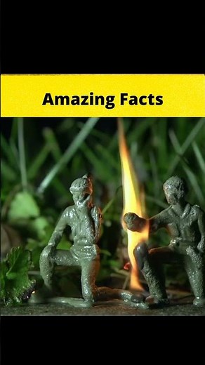 Bizarre Discoveries Scientists Can't Explain || #shorts || #FactBeast