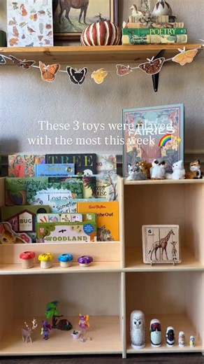 LaurenPaige on Instagram: "This week’s toy rotation was a hit! 🌈 Her top 3 most–played toys: the wooden rotating puzzle, Playmobil fairy playset, and stretchy tube magnetic toy 💕 All linked in bio under “October Toys” + “Temu Toy Finds” 😉 #toyrotation #toddlertoys #openendedplay #playroominspo #toddlerfavorites"