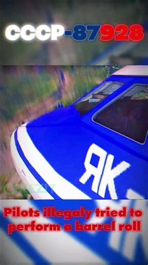 The Stupidest Causes For Plane Crashes #shorts #aviation