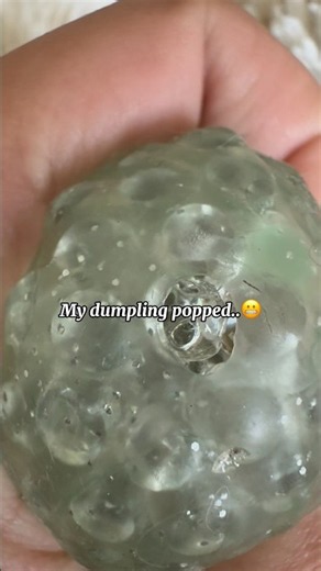 My MINI Dumpling POPPED…😬 #shorts #fypシ゚viral #dumpling #popped #ohno #waitforit #viral #blowup