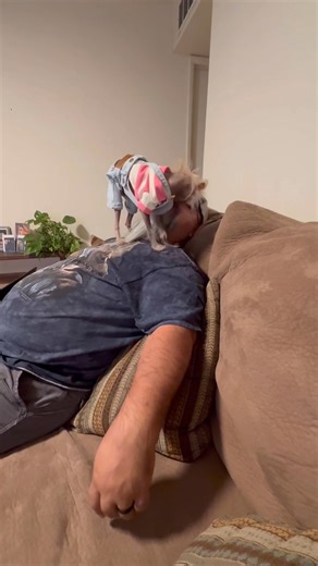 Mr. Pumpernickel - Pumper Hugs…. | Mr. Pumpernickel’s Adventures