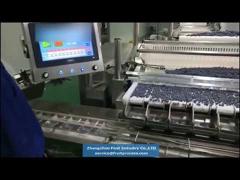 Blueberry packing equipment