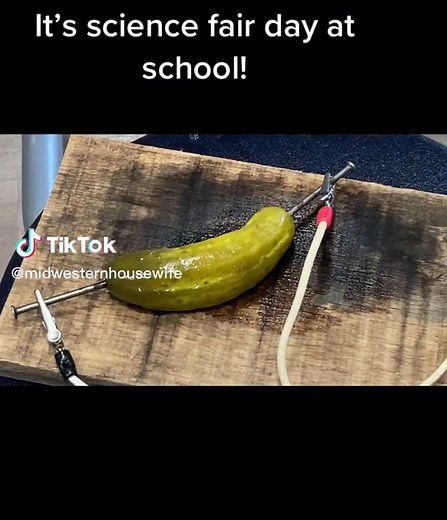 Melissa Bower on TikTok