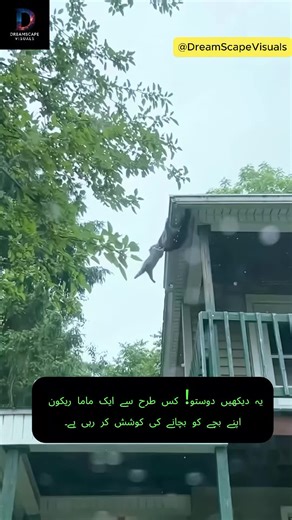 DreamScape Visuals on TikTok