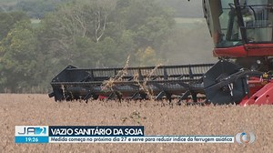Vazio sanitário da soja começa na próxima semana