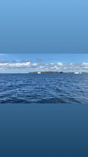 2K views · 41 reactions | Twillingate Adventure Tours on Reels | Facebook