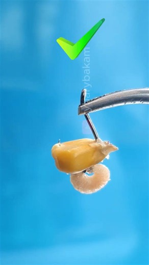 You're Baiting Wrong! 🛑 Real Hooking Technique 🌽🐛