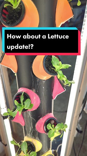 Modern Homestead (@modernhomestead)’s videos with original sound - Modern Homestead