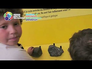 Visite du Biodôme de Montréal 🐧 : Immersion dans 5 écosystèmes des Amériques ! (Vlog)