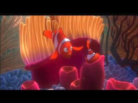 Nemo RUSHES Out… and Gets STUCK?! 😳🐠 | GamaVision Csupo Effects