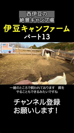 Izu Cam Farm! The scenery alone is worth the trip! 13 #CampsiteReview #IzuCamFarm #Camping