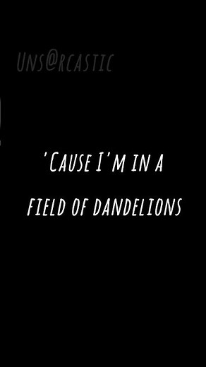 dandelions || lyrical video ||song by Ruth B.