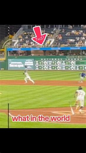 Cam | Fan falls from upper deck #mlb | Instagram