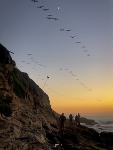 Ethan Daniel Corbett on Reels