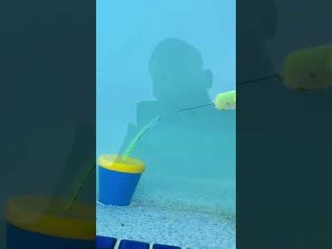 Tamiami Pool & Spa Leak Detection — 3 Broken Lines Found