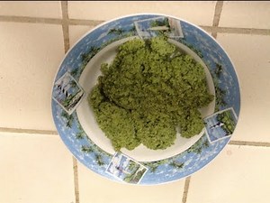 Pureed Broccoli For Adults