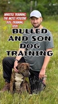 The dog whistle is the most powerful tool in Dog Training ￼