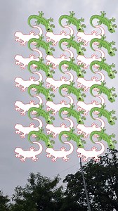 Cartoon Lizards Challenge | BikiDon Challenges